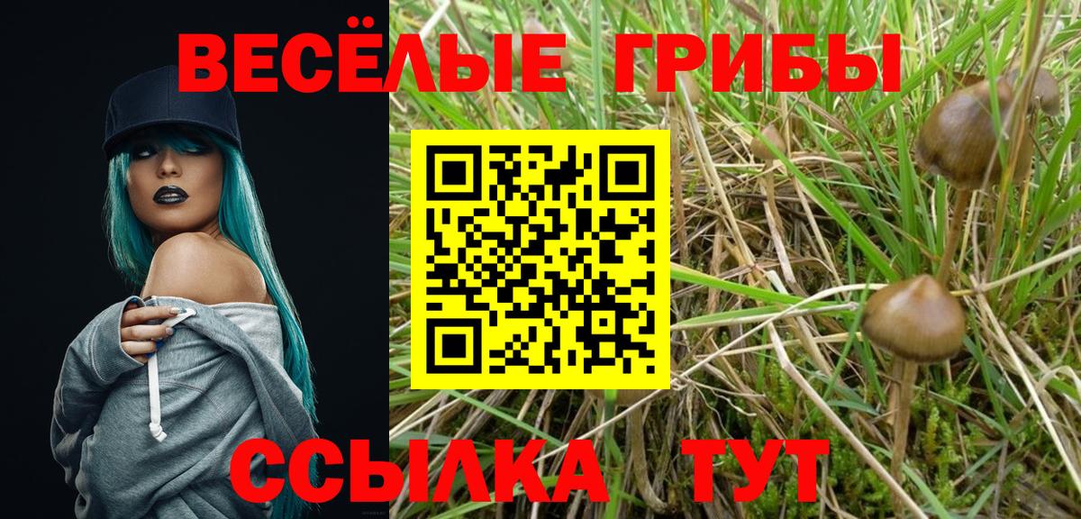 Псилоцибиновые грибы мухоморы Волоколамск