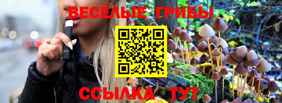 Псилоцибиновые грибы Cubensis  Вход с VPN  Псилоцибиновые грибы Psilocybe  Волоколамск 